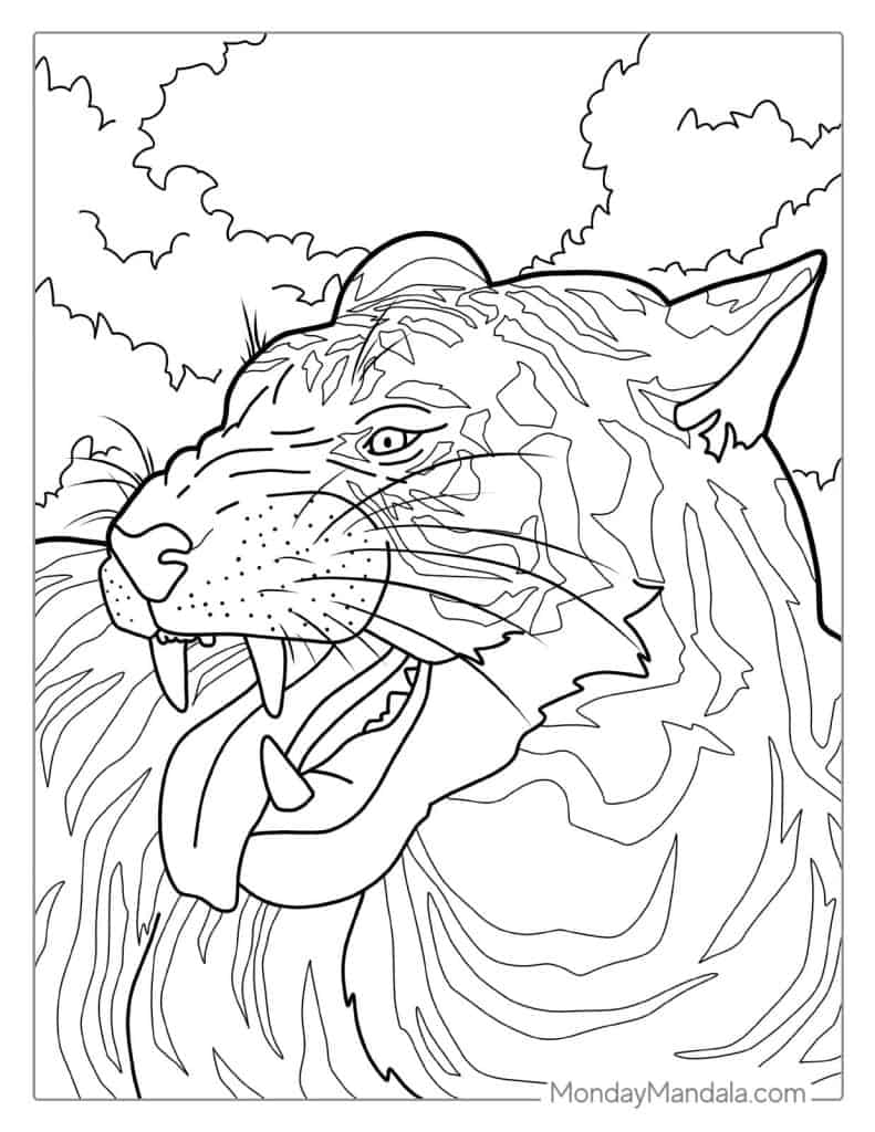 Tiger Coloring Picture