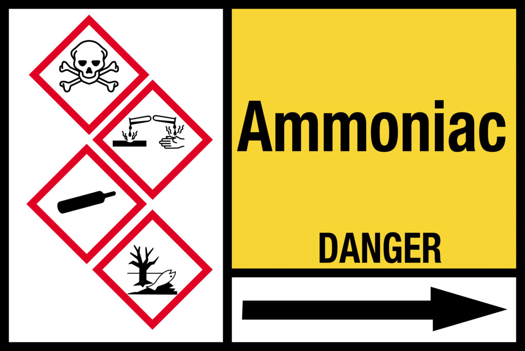 Ammoniac ou ammoniaque ? Le monde en images