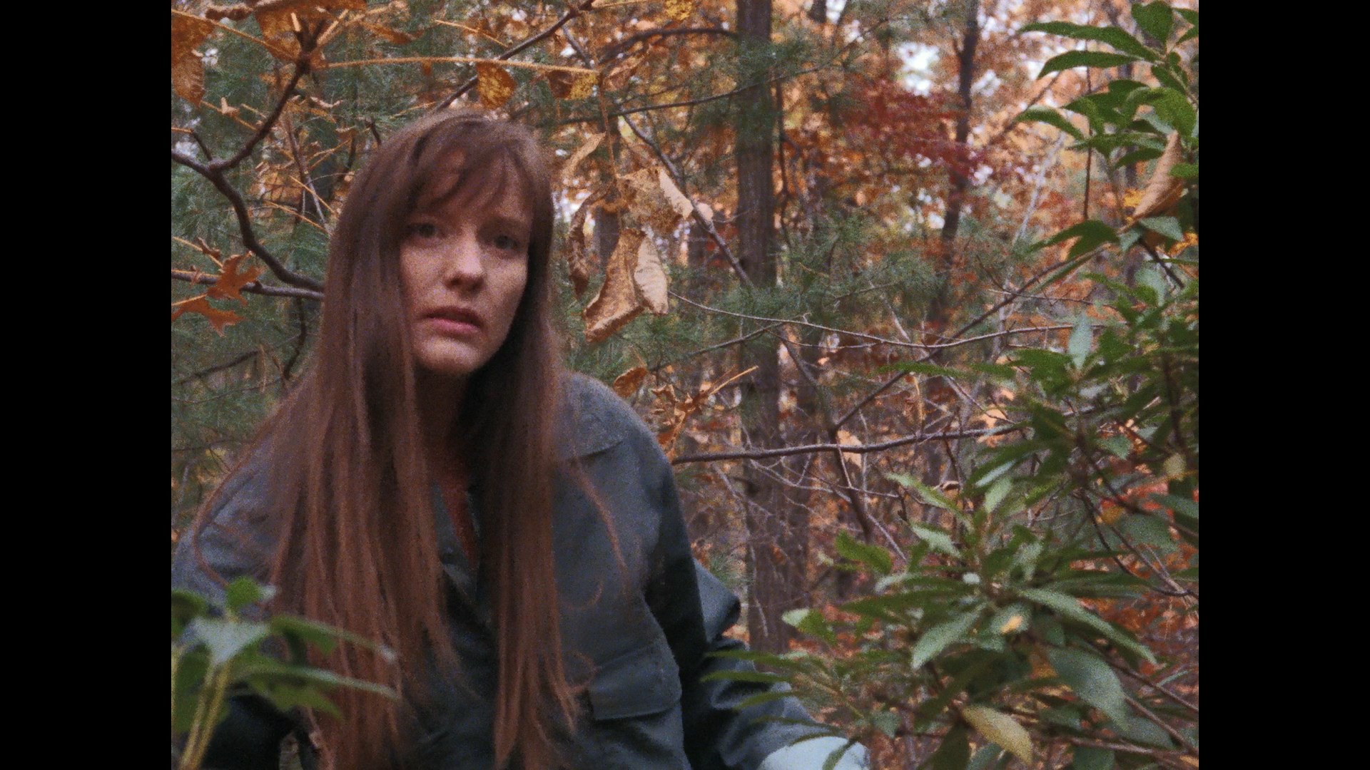 Home Grown Horrors Volume 1