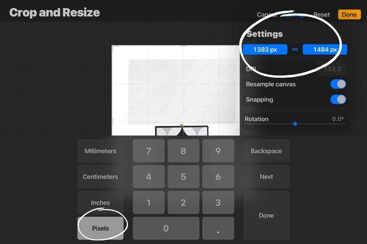 How To Crop In Procreate? Using The Procreate App Mondoro