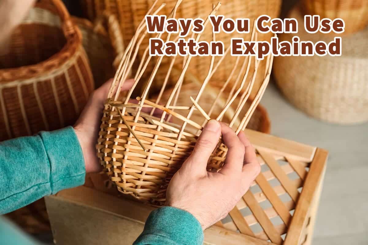Ways You Can Use Rattan Explained Mondoro