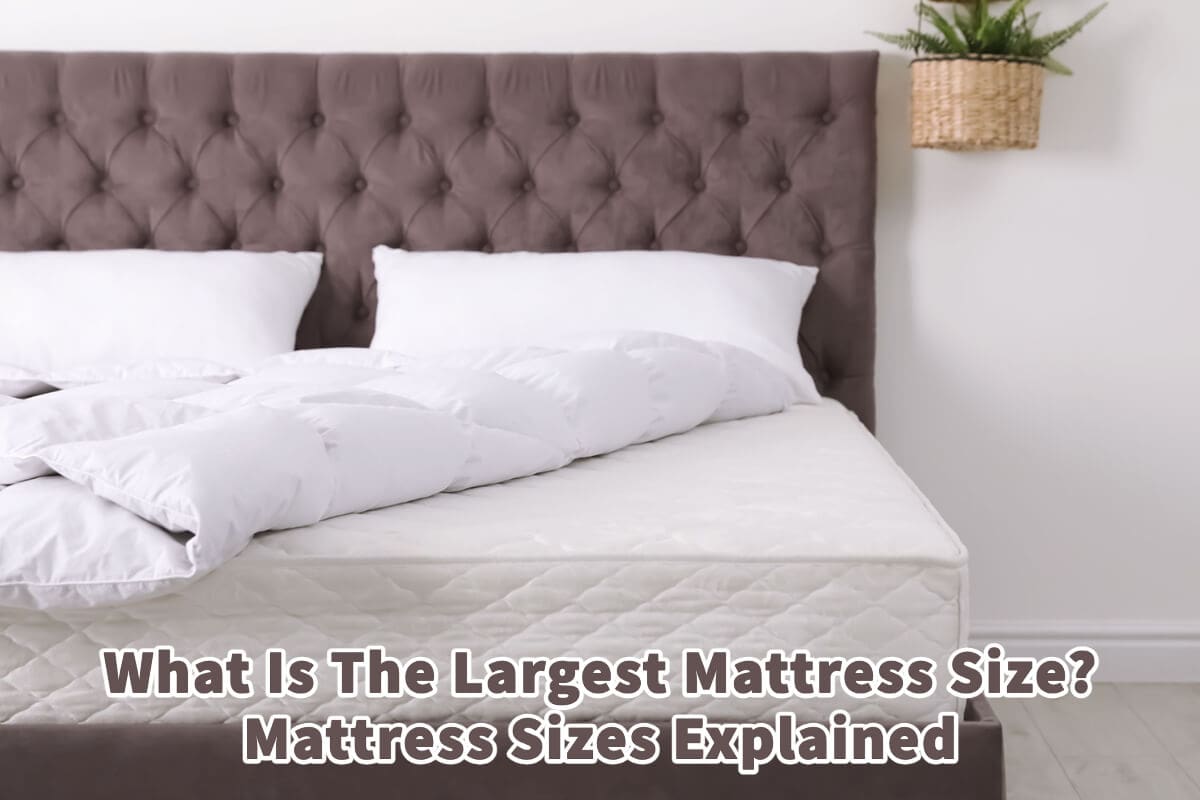 What Is The Largest Mattress Size? Mattress Sizes Explained Mondoro