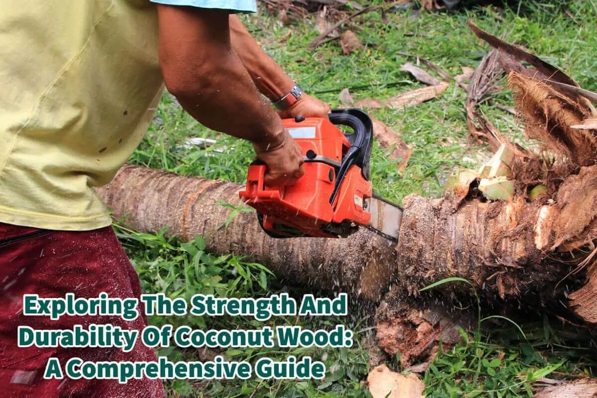 Strength And Durability Of Coconut Wood A Comprehensive Guide Mondoro