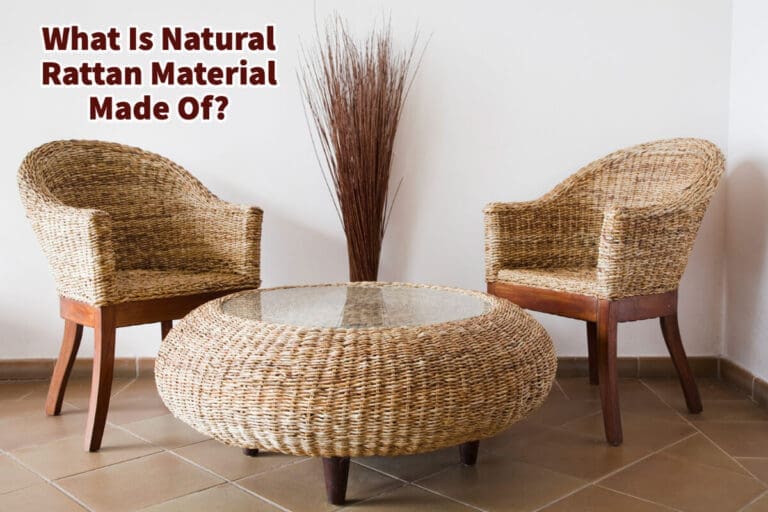What Is Natural Rattan Material Made Of? Mondoro