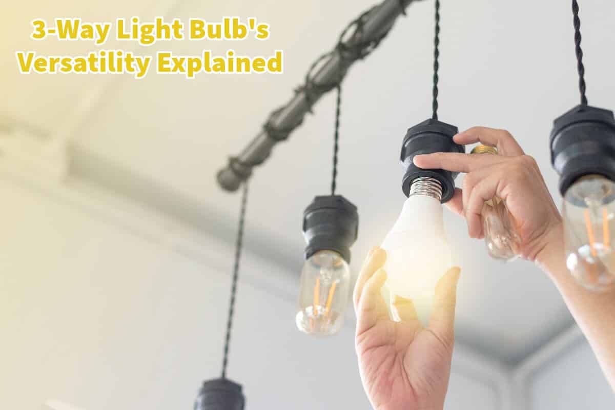 3Way Light Bulb's Versatility Explained Mondoro