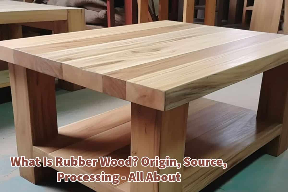 What Is Rubber Wood? Origin, Source, Processing All About Mondoro