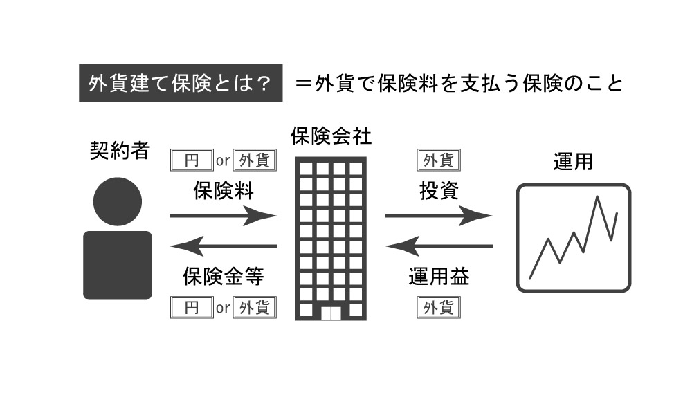 外貨建ての生命保険や個人年金保険での節税対策と知っておくべきリスク MoneyMagazine