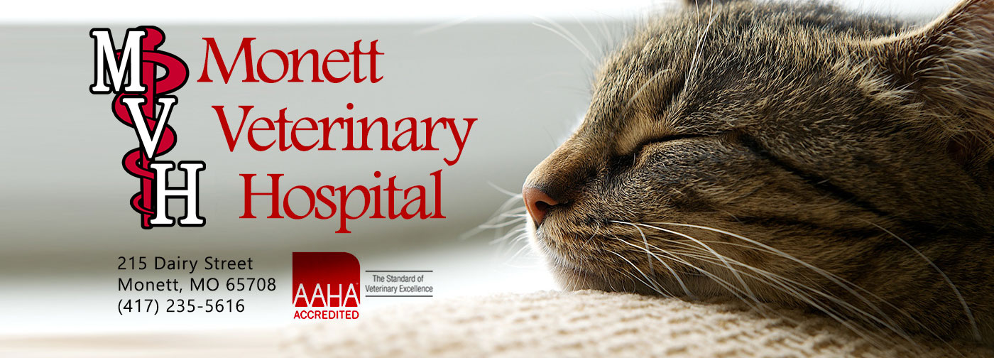 Services Veterinary Hospital in MO
