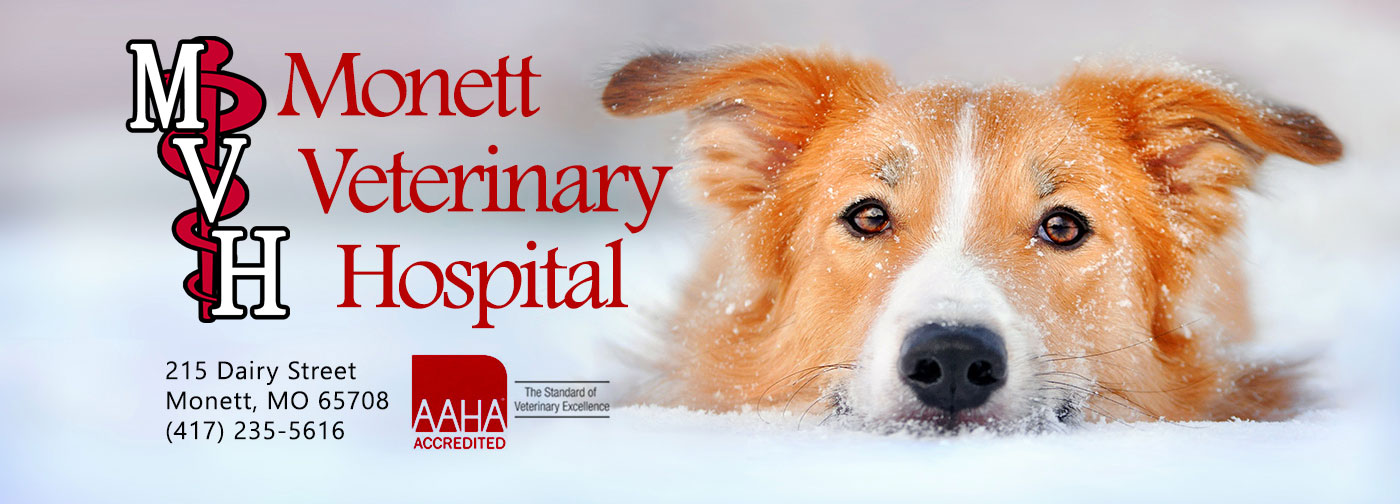 Veterinary Hospital in MO
