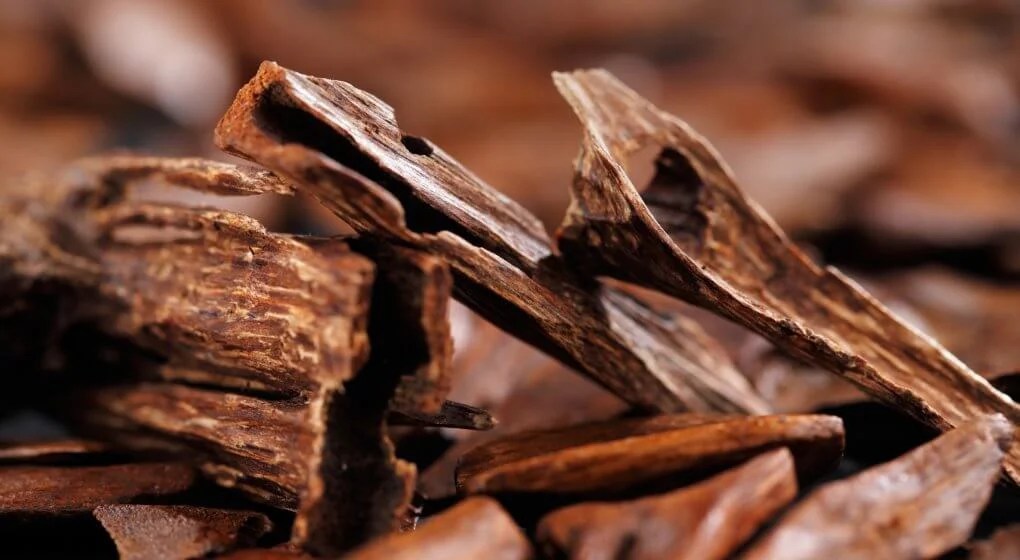 The Five Most Expensive Woods in the World