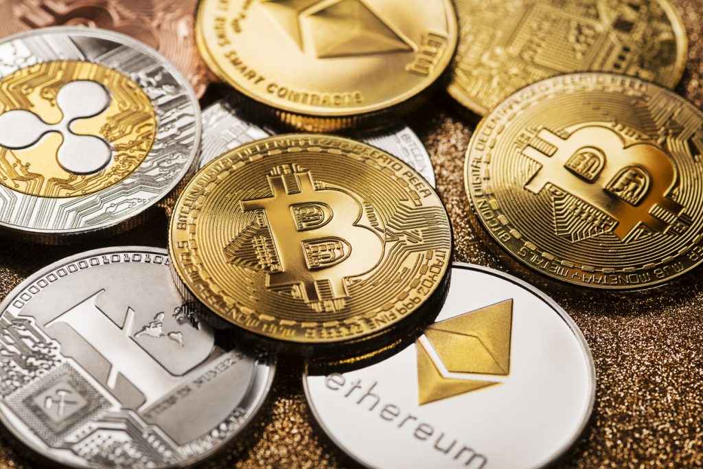 Crypto Curious? Money Monkee