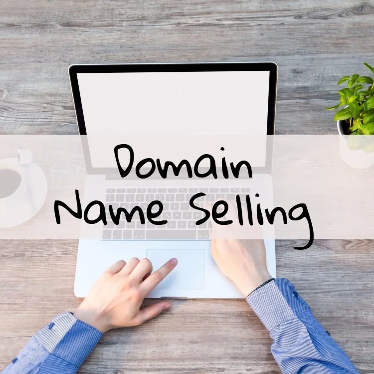 Earn a Fortune From Domain Name Selling MoneySkipper