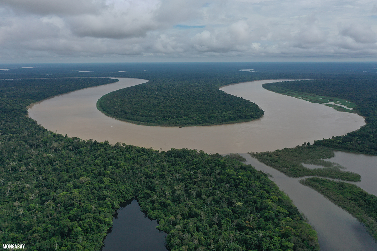 Meandering river in the Amazon