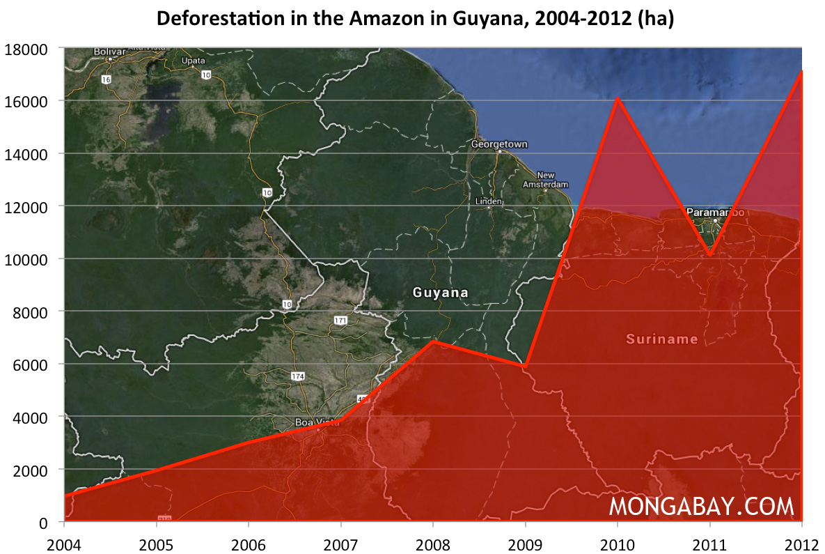 CHART Deforestation in the Amazon rainforest in Guyana