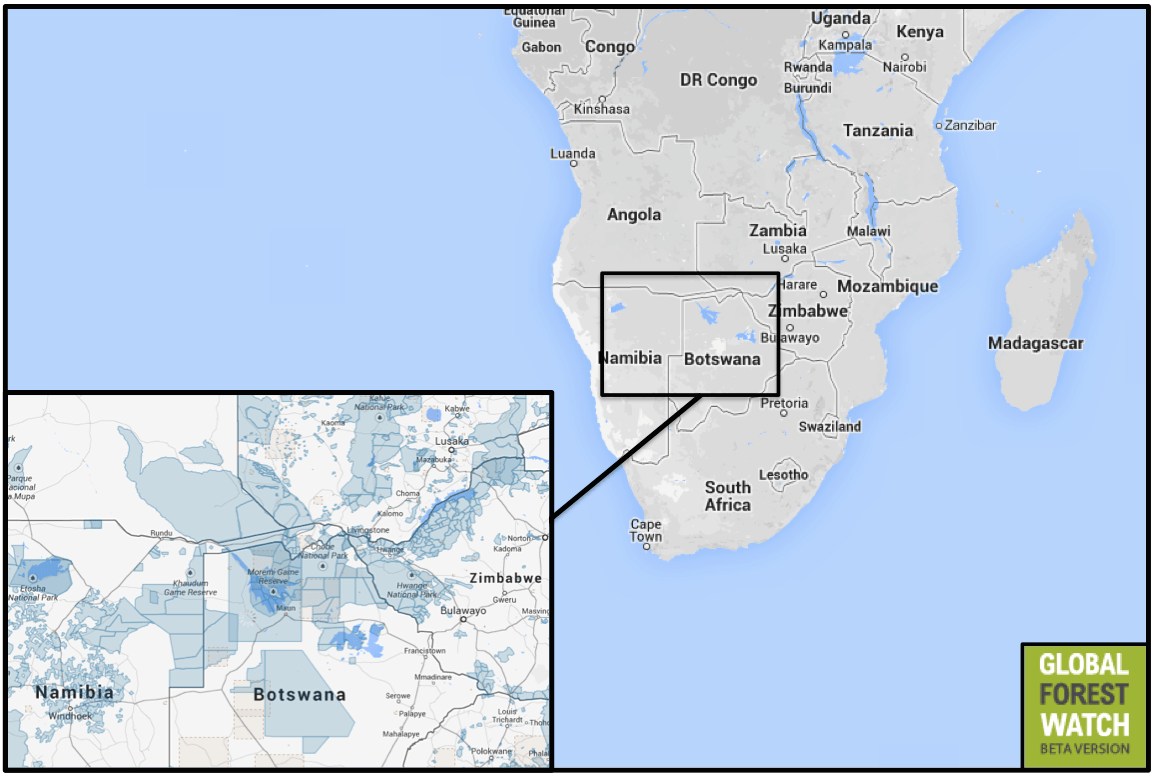 Zebras for the win! Africa's longest land migration discovered