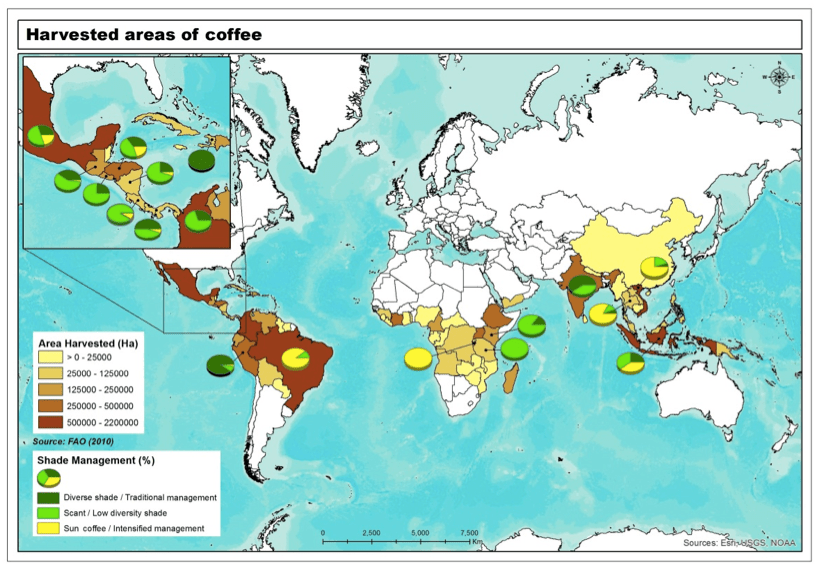 Downturn in shadegrown coffee putting forests, wildlife, people at risk