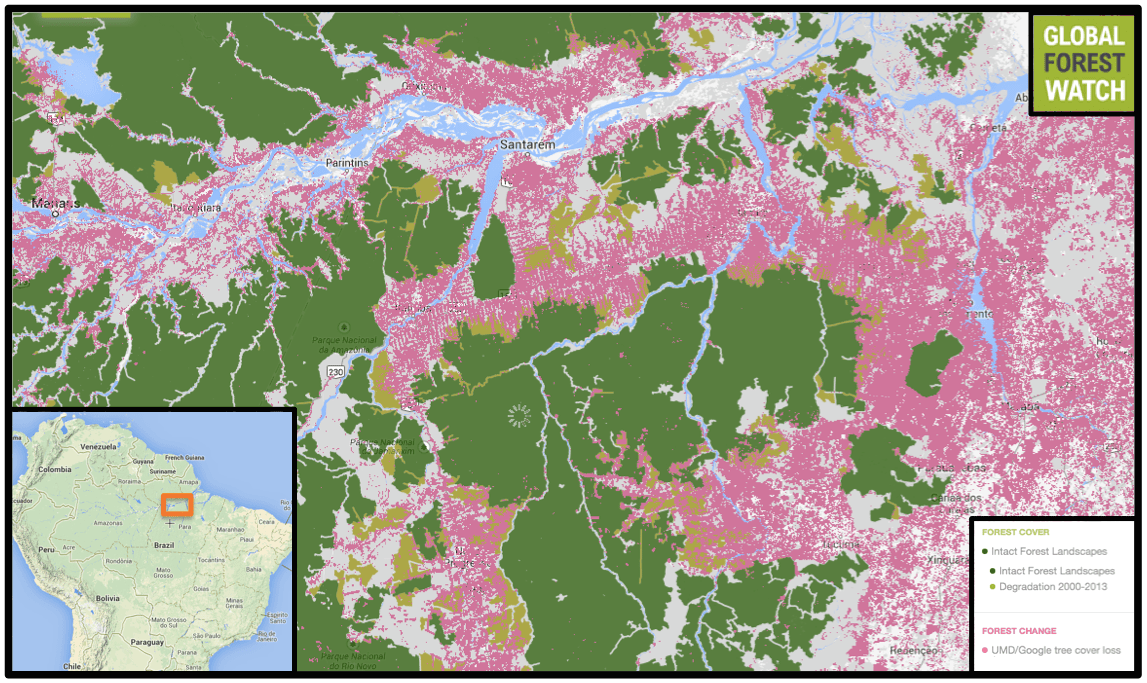 Canada, Russia, Brazil lead world in oldgrowth forest loss