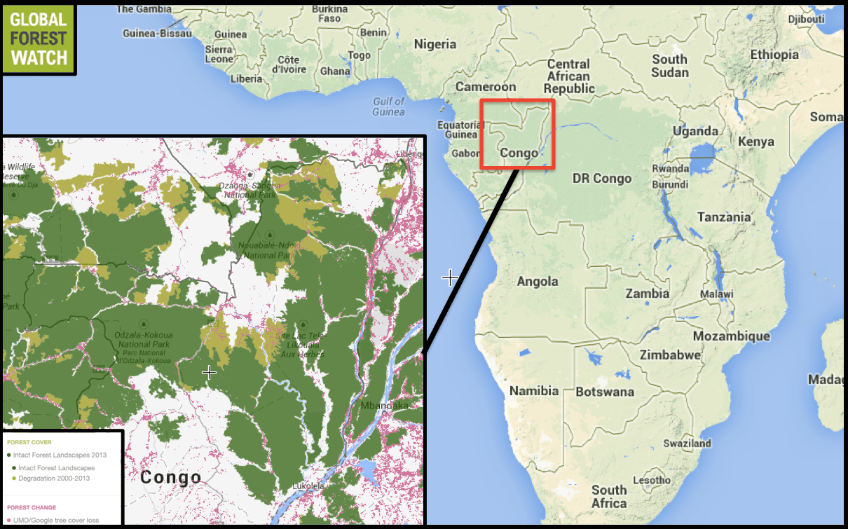 Congo Rainforest Cool Earth