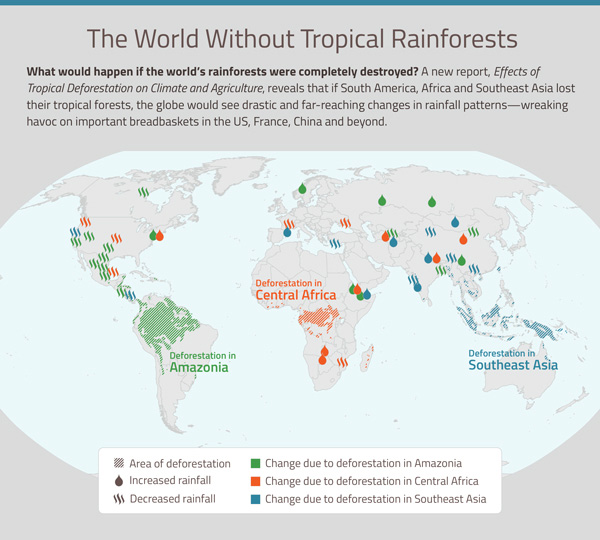Tropical deforestation could disrupt rainfall globally