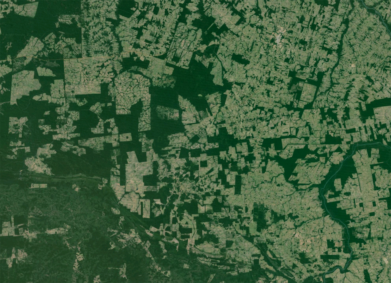 World's fragmented forests are deteriorating