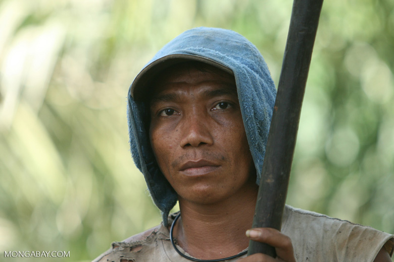 Oil palm plantation worker