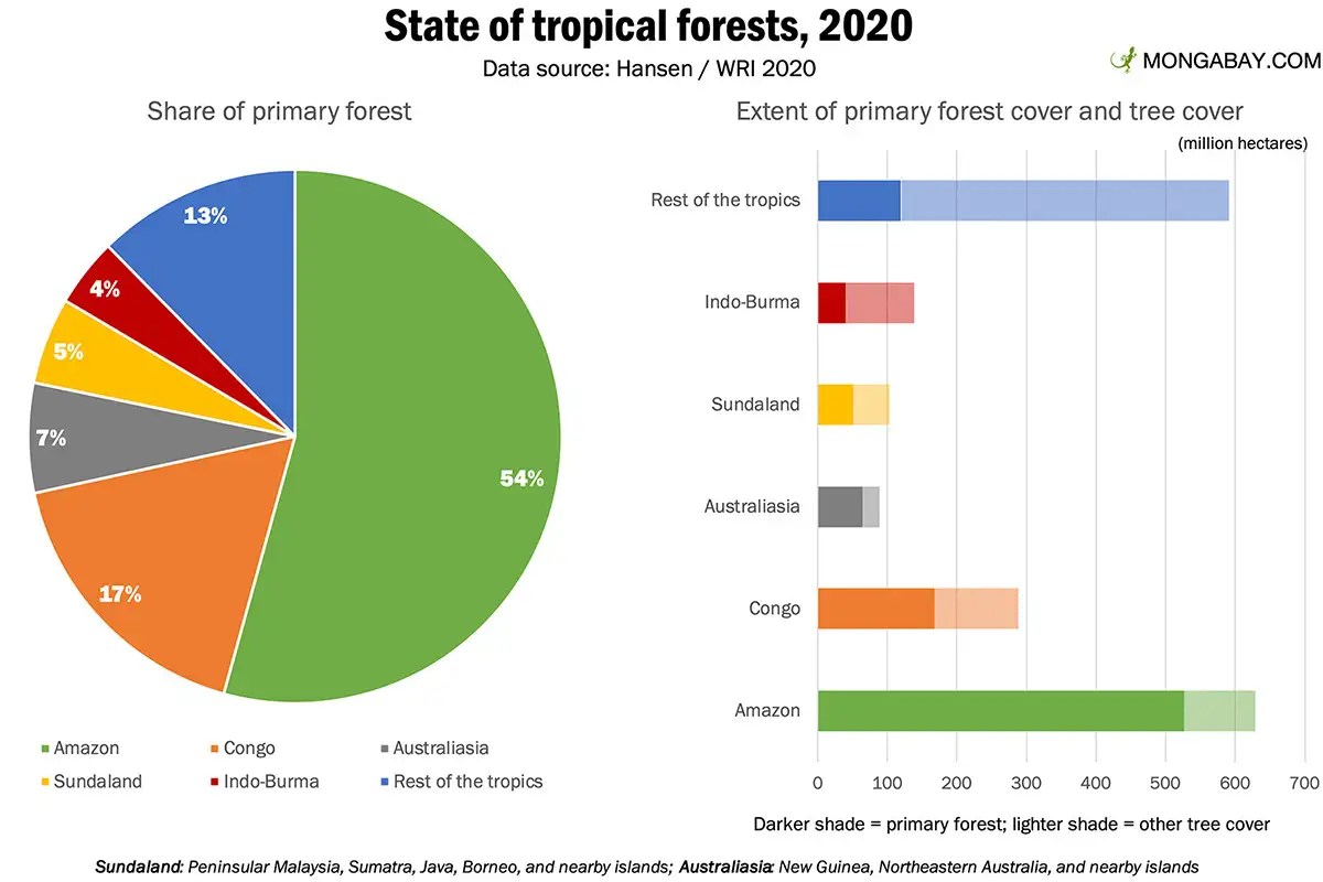 The Amazon Rainforest The World’s Largest Rainforest covers some 40 percent of the South
