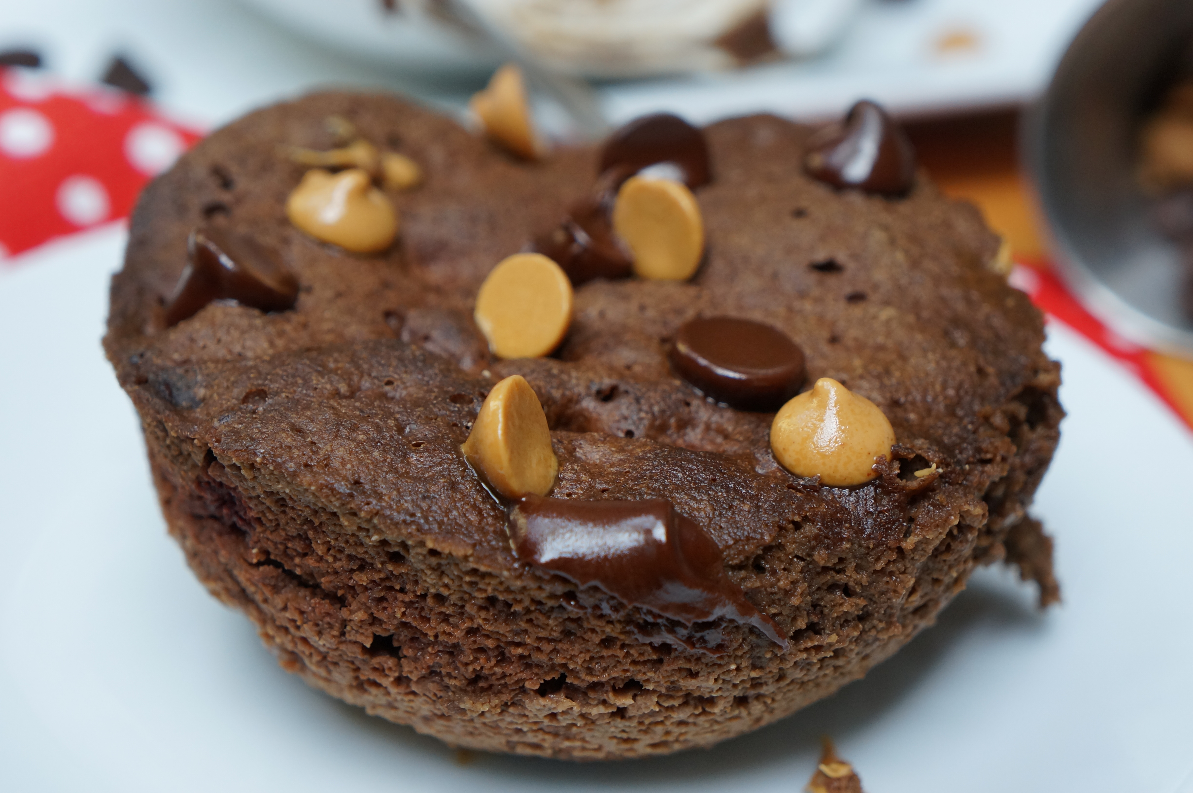 Healthy and Easy Chocolate Mug Cake