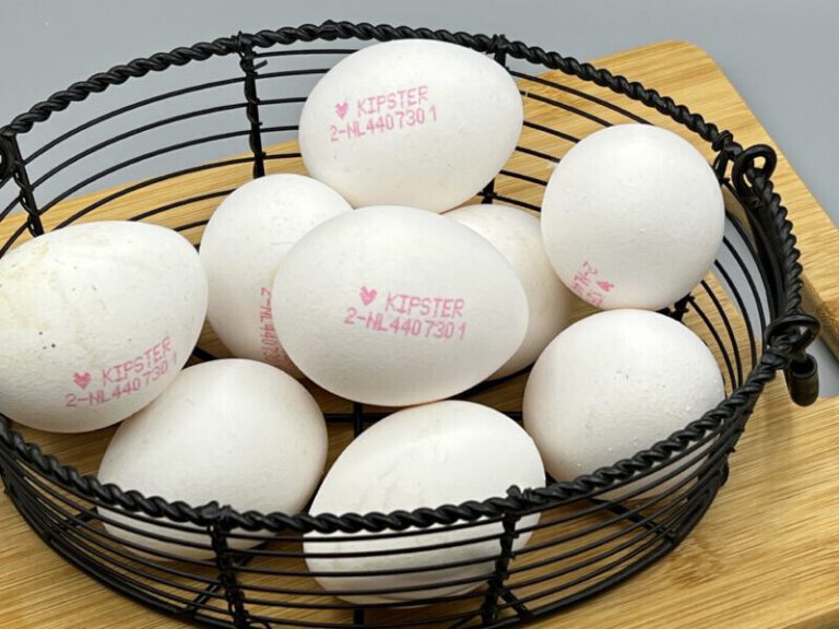 Kipster Eieren Bij De Lidl.....zijn Ze Werkelijk 100% Milieu En Diervriendelijk??? - Monique Van Der Vloed