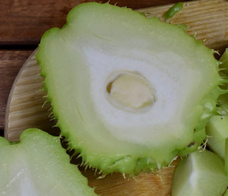 Maak Kennis Met De Chayote! Met Lekkere Recepten - Monique Van Der Vloed