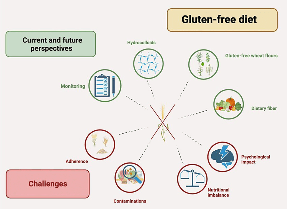 Going Gluten-Free: Panduan Modern untuk Pilihan Makan Sehat dan Cerdas