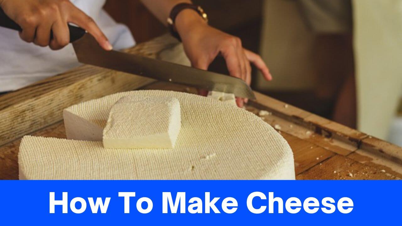 Master The Art Of How To Make Cheese A StepbyStep Guide » 2024