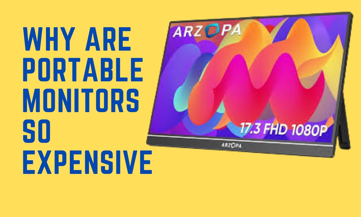Why Are Portable Monitors So Expensive [Explained] Monitors Hype