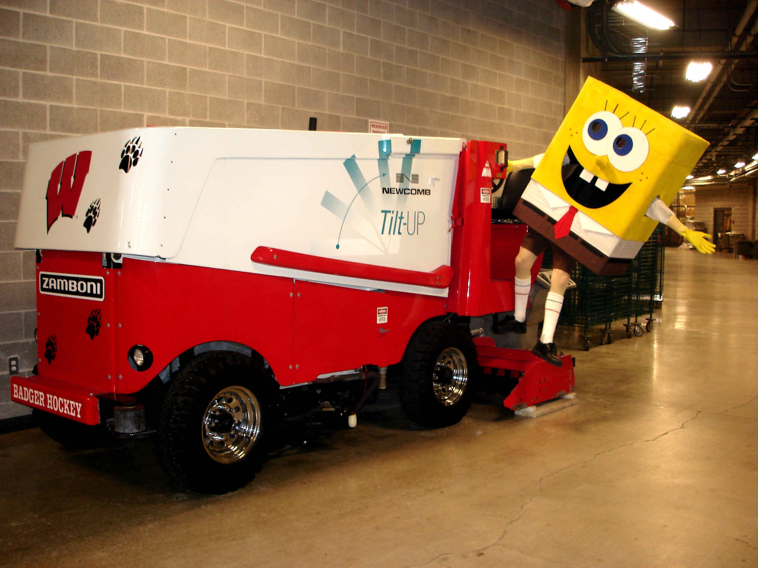 Musical Musings… Bands Named After Sports Jargon monkeyBLOGmonkeyDO