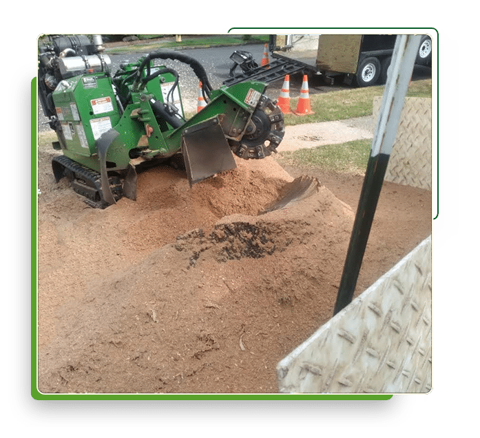 Stump Grinding Services Stump Removal Portland, OR