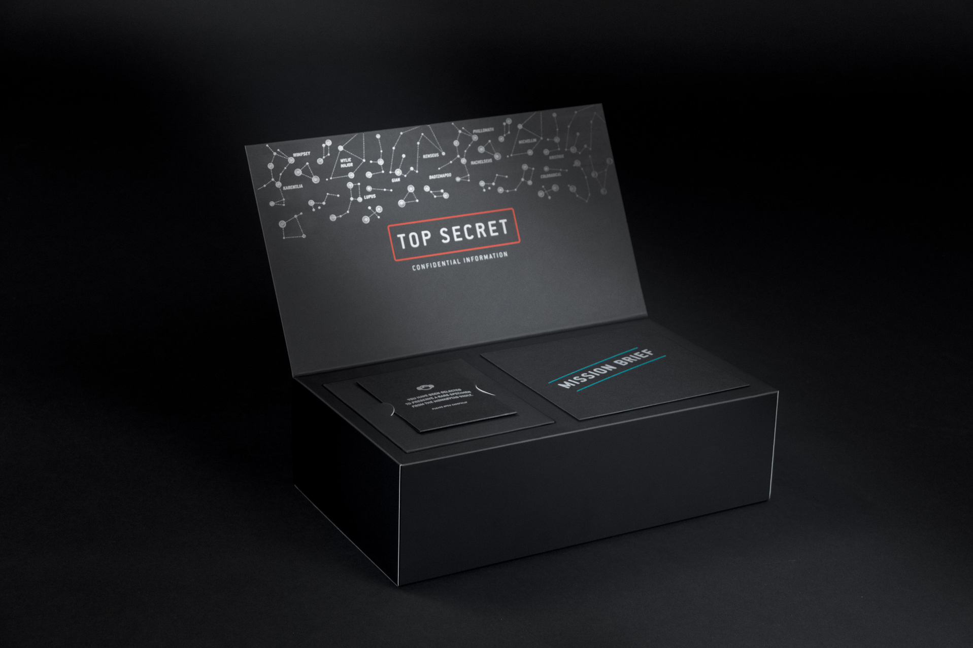 Holiday Gift Kit With Custom Toy Monkeytag