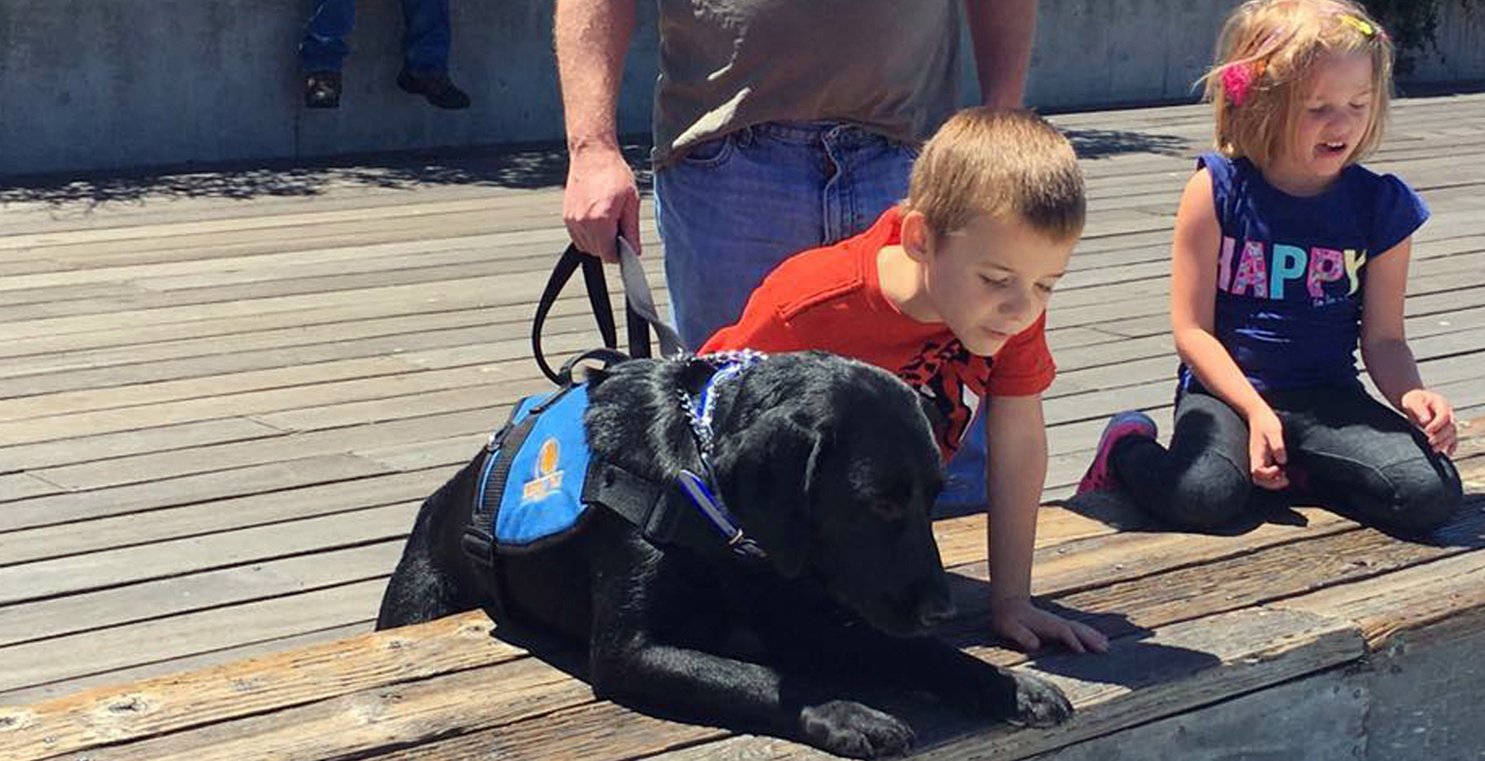 How To Train A Dog For Autistic Child