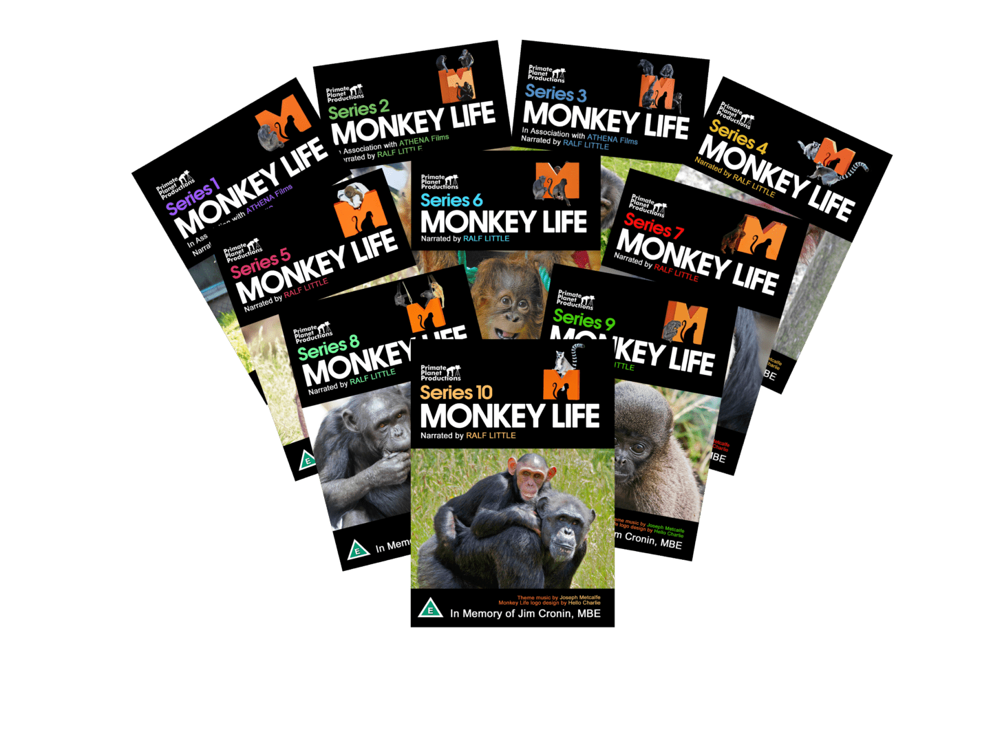 Monkey Life Monkey World