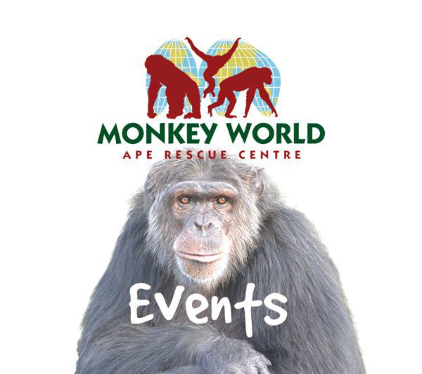 Adopt A Primate Monkey World