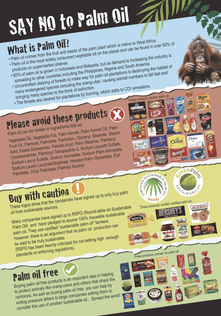 Learning Resources Monkey World