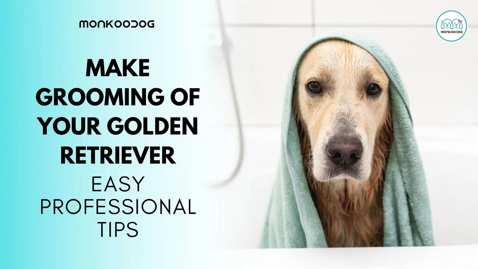 How To Groom A Golden Retriever Top Tips And Tricks Monkoodog