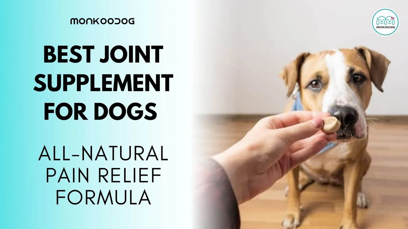 The Best Joint Supplements For Dogs Monkoodog