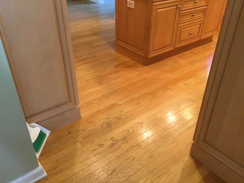 Floor Refinishing Kitchener Clsa Flooring Guide