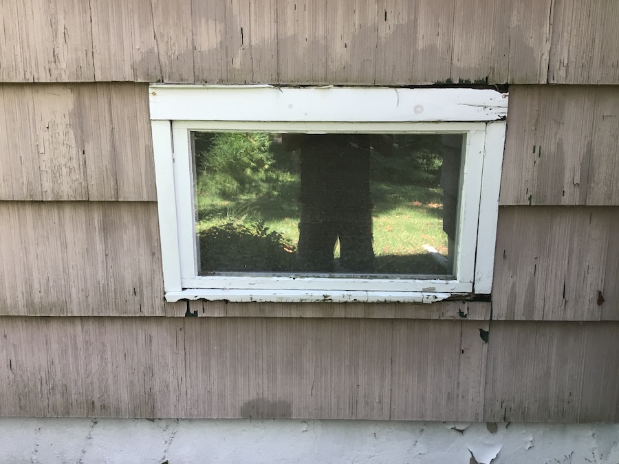 Woodpecker Damaged Siding Monks Home Improvements