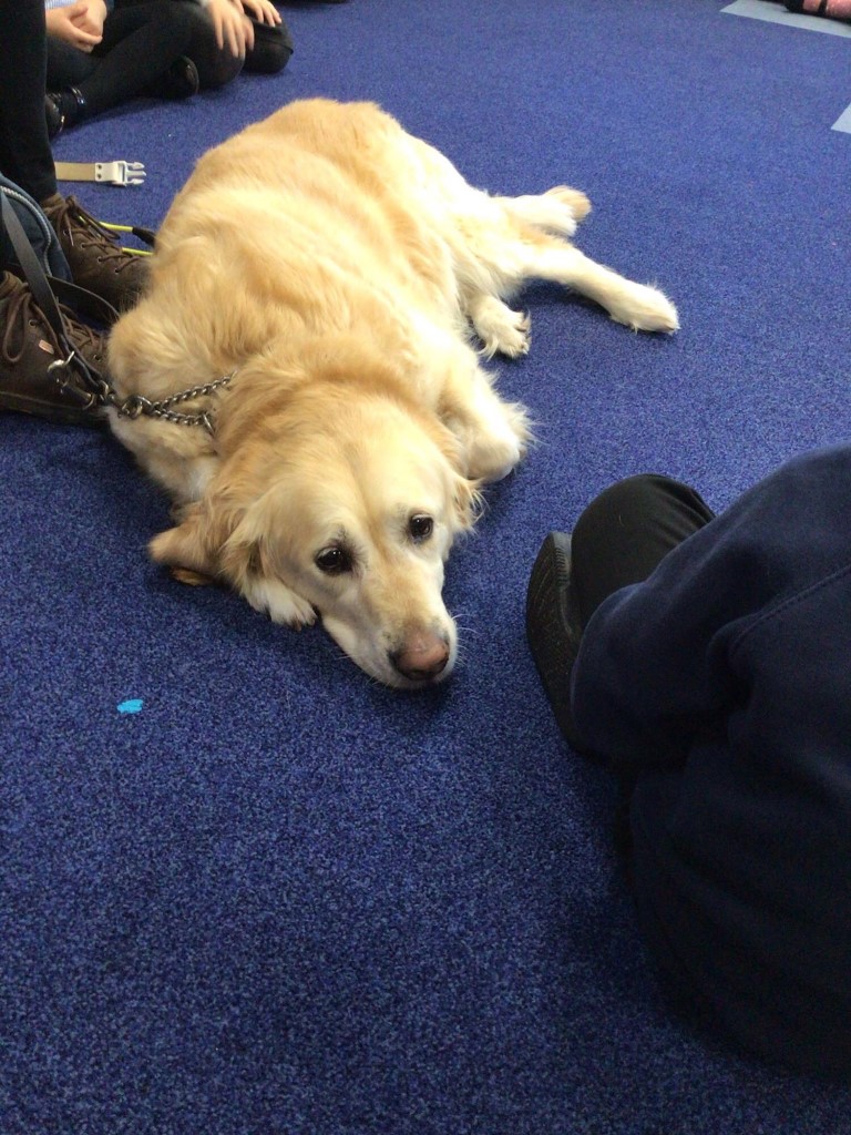 Guide Dogs Trust Visit Monkwood Primary School