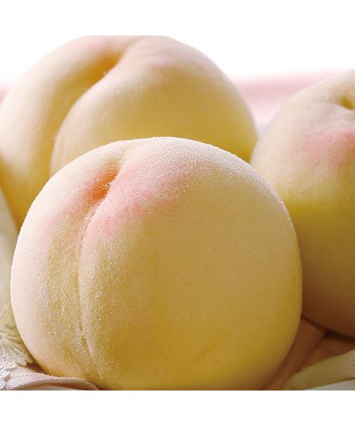 岡山白桃 水蜜桃（岡山縣產）2KG 小箱