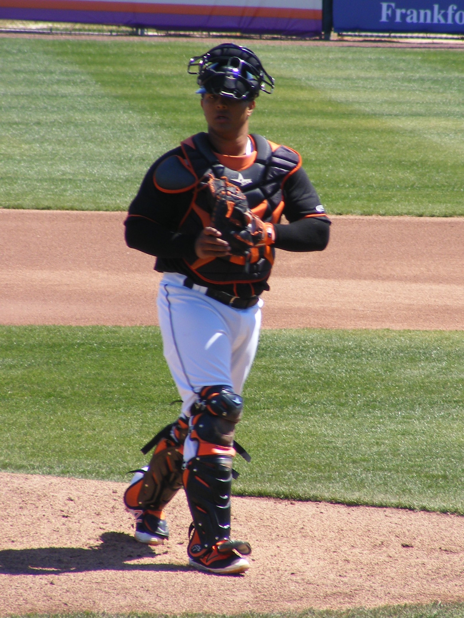 Delmarva Shorebirds Page 7 monoblogue
