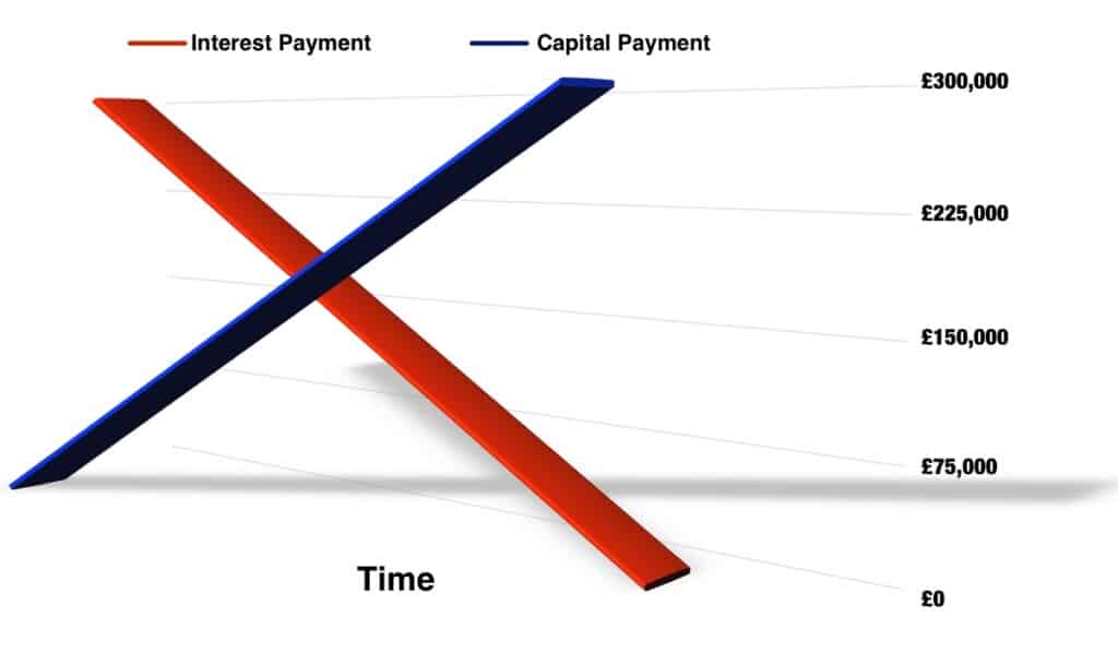Repayment Or Interest Only Mortgage For A Buy To Let Property Monoperty
