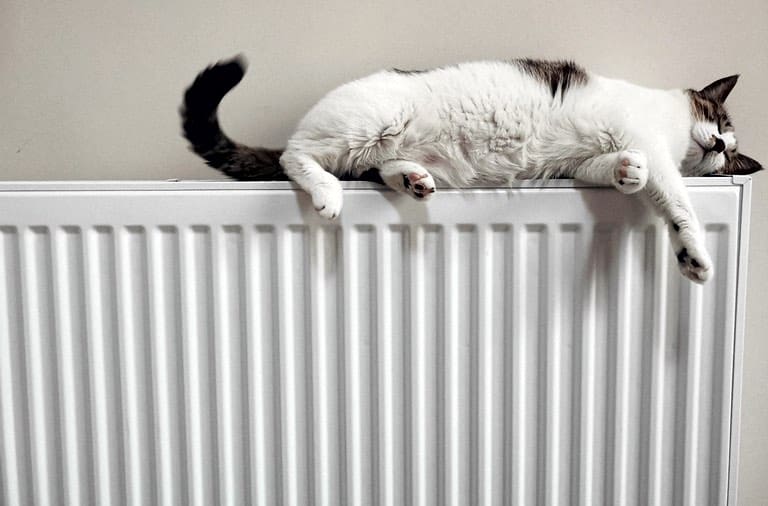 Are Tenants Or Landlords Responsible For Bleeding The Radiators?