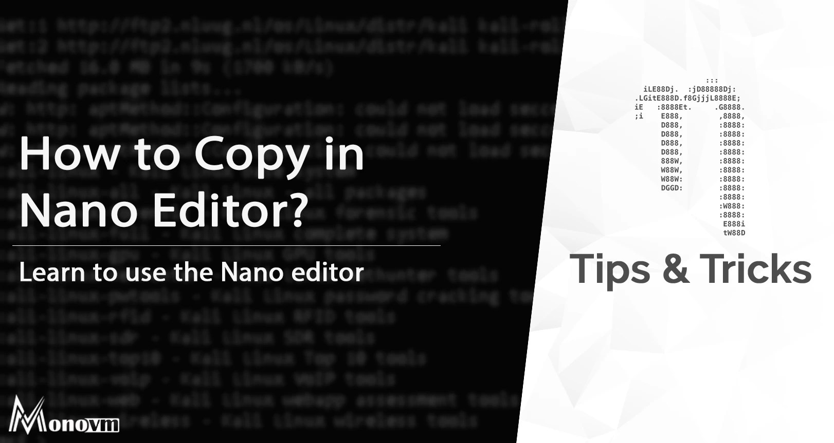 How to Copy in Nano Editor Nano Copy Command