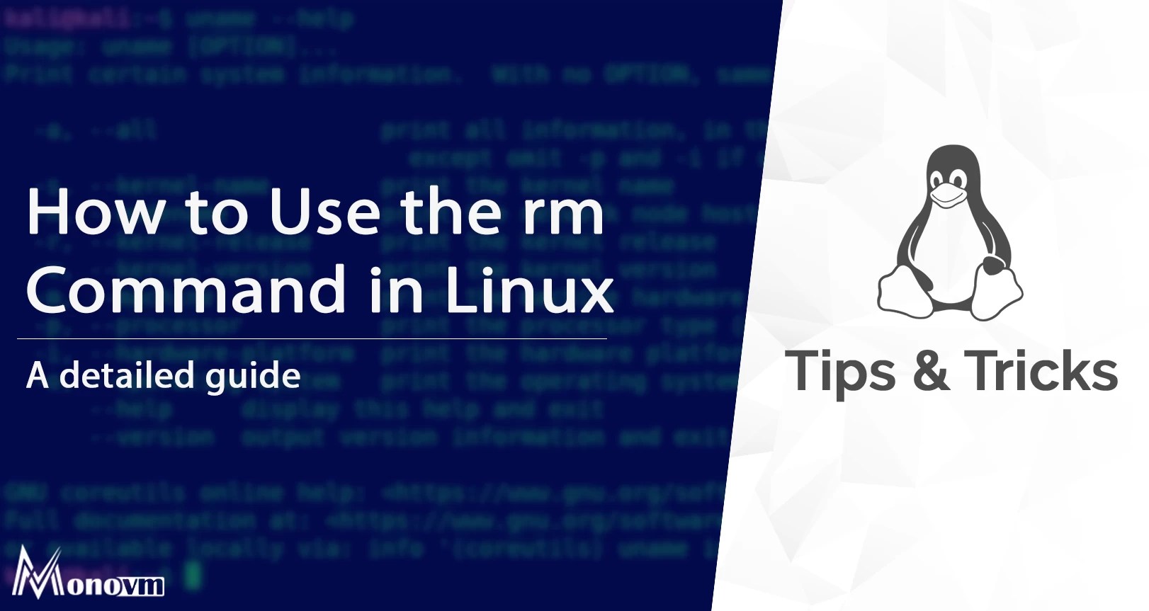 How to Remove Files and Directories [Linux Delete Directory]